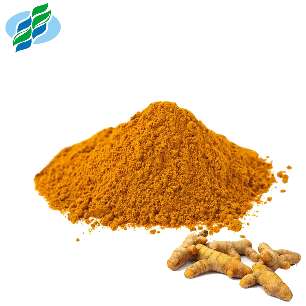 Polvo del extracto de la curcumina del extracto el 95 el 98 de la