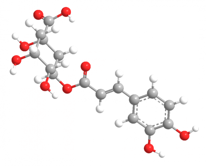 imagen 3D del ácido Chlorogenic