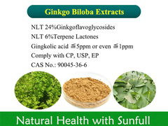 Extracto de ginkgo biloba