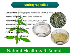 Extracto de Andrographis Paniculata Andrographolide