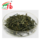 989-51-5 Green Tea Extract Powder 60% EGCG Epigallocatechin Gallate For Dietary Supplements