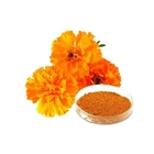 Visual Function Marigold Flower Extract Fine Powder 10% Lutein