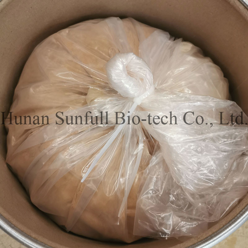 Extracto de Hojas de Ginkgo Biloba 24/6 CAS 90045-36-6 Cp USP561 Ep EC396