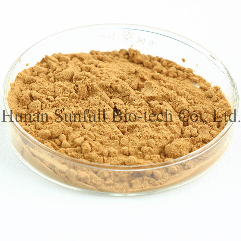 Extracto de Hojas de Ginkgo Biloba 24/6 CAS 90045-36-6 Cp USP561 Ep EC396