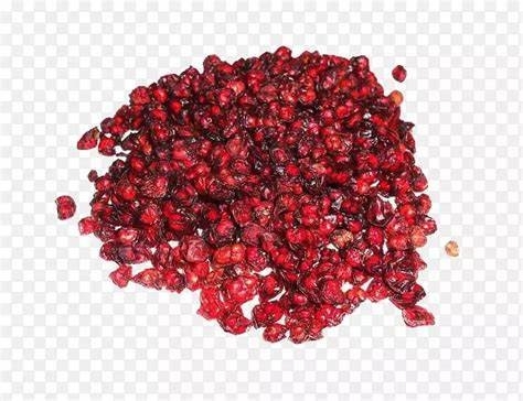 Mejore su bienestar con extracto de hierbas naturales SA-Herbal Schisandra Berry Extract 10:1