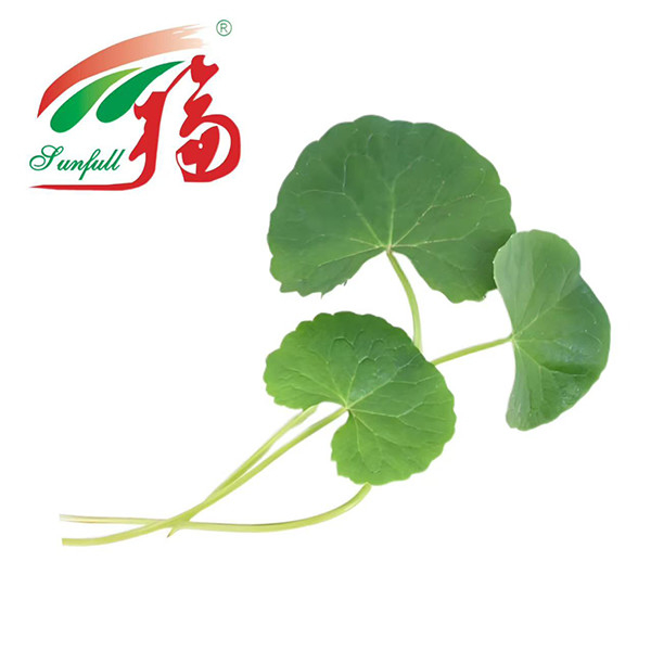 Gotu Kola Extract Cosmetics Plant extrae el 80% de Asiaticoside para el cuidado de la piel, reparación de barreras y antiirritación, para piel sensible o propensa al acné