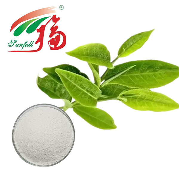 ¡El máximo poder antioxidante! 98% EGCG extracto de té verde - Escudo de la naturaleza para la vitalidad