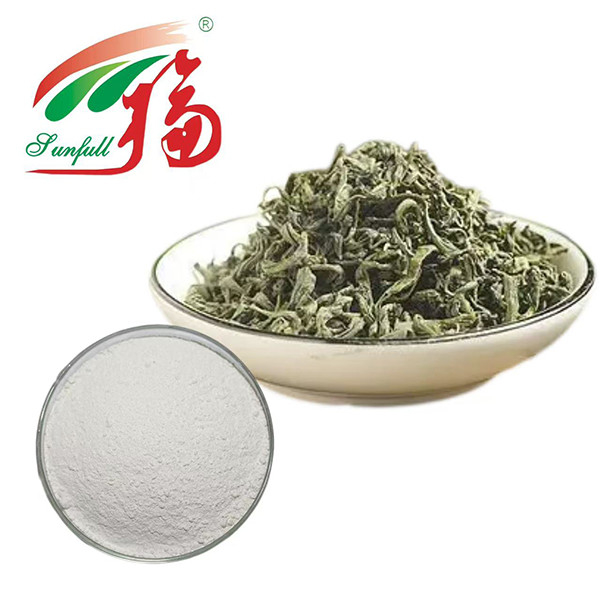 ¡El máximo poder antioxidante! 98% EGCG extracto de té verde - Escudo de la naturaleza para la vitalidad