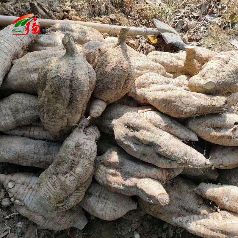Extracto de raíz de kudzu natural de fábrica de China Puerarin con 25% 60% 98%