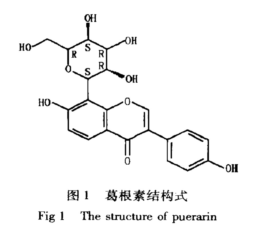 Extracto de raíz de kudzu natural de fábrica de China Puerarin con 25% 60% 98%