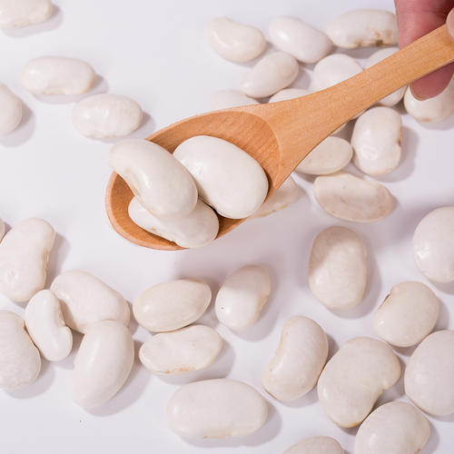 Extracto de frijoles blancos de primera calidad (Phaseolus vulgaris) - Inhibidor de α-amilasa de alta pureza para el control del peso y el azúcar en la sangre