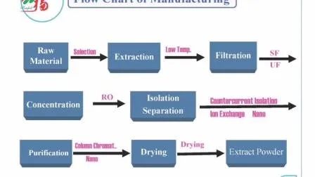 Polvo amarillo marrón fino Cordyceps Sinensis Extracto de grado alimenticio para productos sanitarios