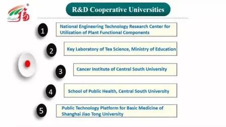 Extracto agárico de miel en polvo amarillo marrón fino con buena solubilidad en agua para aplicaciones alimenticias
