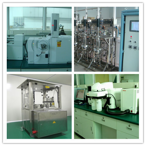 Polvo de Hongo Cordyceps 80 Malla para Refuerzo Inmunitario Tambor de 25 kg