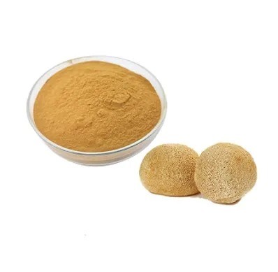 Extracto de Hericium Erinaceus 50% Polisacáridos para Productos de Cuidado de la Salud y Curación de Enfermedades Gástricas en Polvo Fino Amarillo Marrón