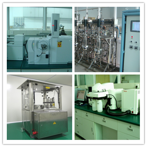 Polvo de Extracto de Armillaria Mellea al por mayor con capacidad de producción de 20t/año, polvo fino de color amarillo marrón y buena solubilidad en agua