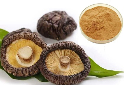 Shiitake Mushroom Extract Powder with 50% Polysaccharides for Functional Food and Health Care Products