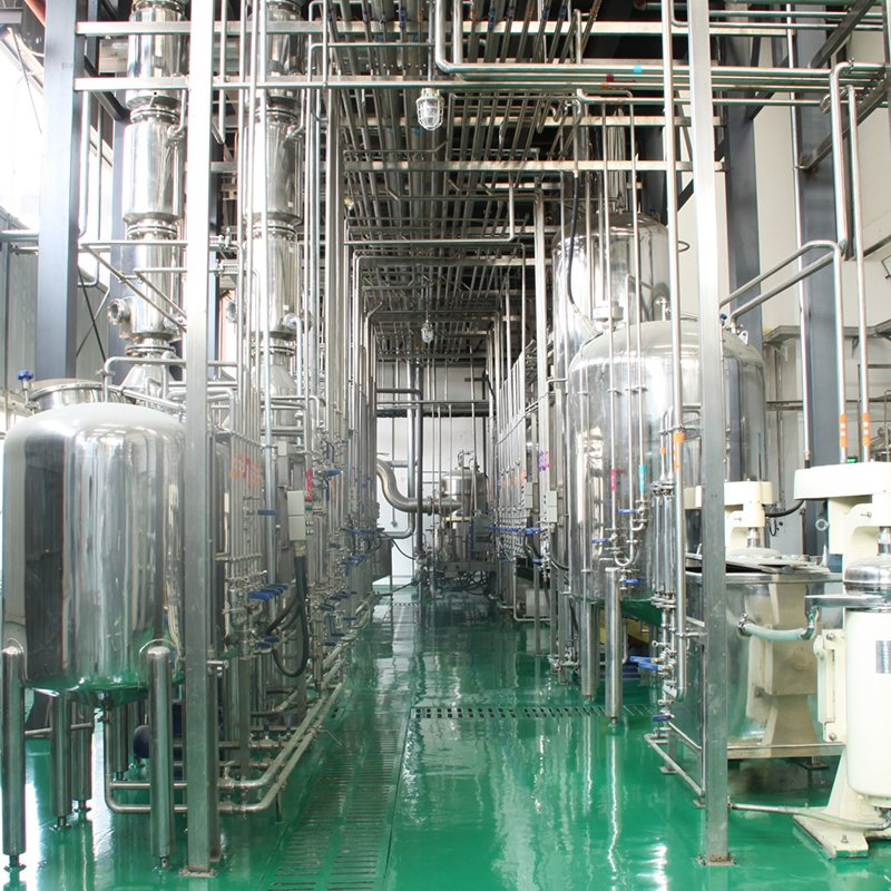 Chaga Mushroom Extract Powder 25kg/Drum 100mt/Year Production Capacity for Health Care Products