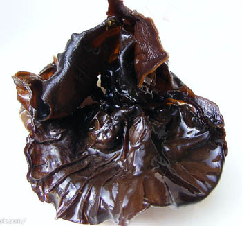 Polvo de extracto de hongos negros con polisacáridos 20% Soluble en agua para regular el azúcar en la sangre y alimentos funcionales hipolipidémicos