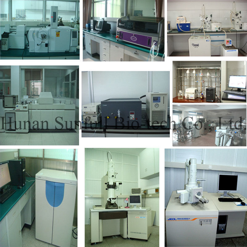 Clorhidrato de berberina 97% 98% Polvo cristalino amarillo con propiedades antibacterianas y antiinflamatorias de extracto de phellodendron chinense