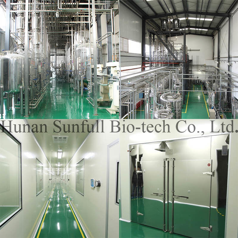 Clorhidrato de berberina 97% 98% Polvo cristalino amarillo con propiedades antibacterianas y antiinflamatorias de extracto de phellodendron chinense