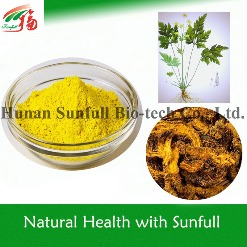 100% de clorhidrato de berberina natural 97% 98% de raíz de Coptis chinensis con número CAS 633-65-8