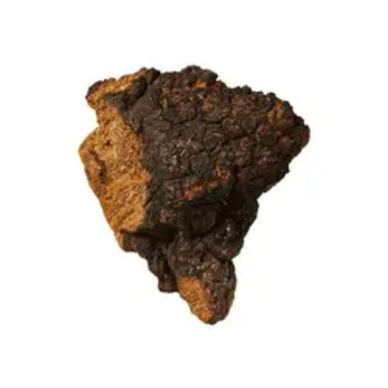 Extracto de Chaga en polvo Polisacáridos 40% Polvo amarillo marrón fino para aplicaciones alimentarias y de salud