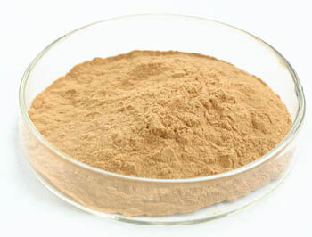 Extracto de hongo de ostras en polvo con polisacáridos al 50% para alimentos funcionales y beneficios antitumorales