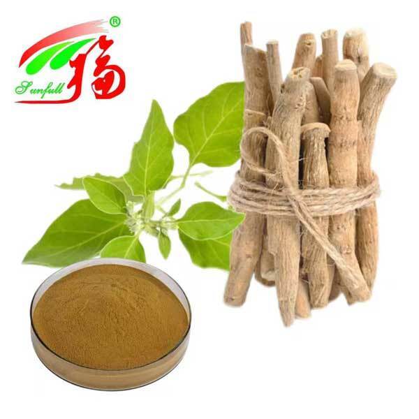Extracto de Raíz de Ashwagandha Withania Somnifera Sudáfrica Withanolides 5% Productos para el Cuidado de la Salud Alimentaria
