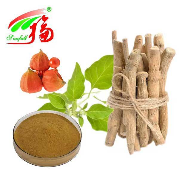 Extracto de Raíz de Ashwagandha Withania Somnifera Sudáfrica Withanolides 5% Productos para el Cuidado de la Salud Alimentaria
