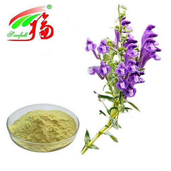 Ingredientes para el cuidado de la salud 10%~95% Baicalina Baicaleína en polvo Extracto de Scutellaria baicalensis Georgi Extracto de Radix Scutellariae Extracto de Baikal Skullcap