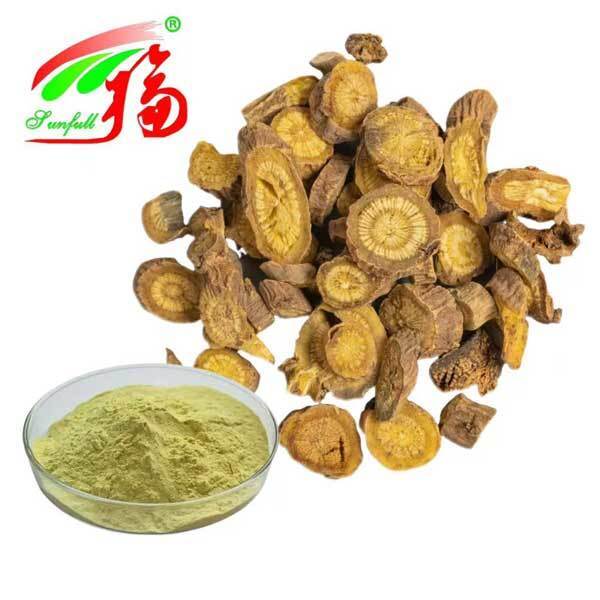 Ingredientes para el cuidado de la salud 10%~95% Baicalina Baicaleína en polvo Extracto de Scutellaria baicalensis Georgi Extracto de Radix Scutellariae Extracto de Baikal Skullcap