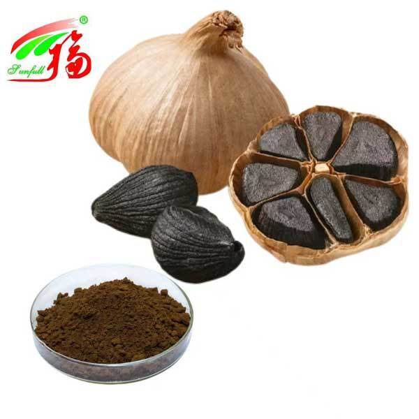 Black Garlic Extract Powder Polyphenol1%-3% S-Alloy-L-Cystein 0.1%-1% Allium Sativum L. Extract