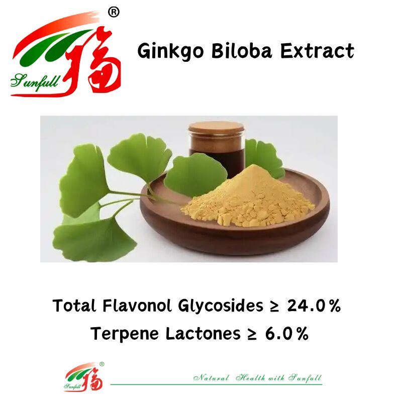 100% natural, soluble en agua, 24% ginkólidos, extracto de hojas de ginkgo biloba en polvo para suplementos alimenticios