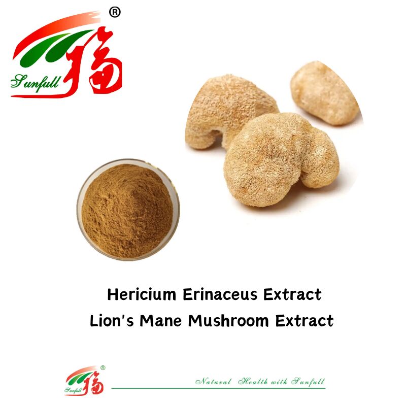 Hunan Sunfull Suplementos alimenticios Agaricus Subrufescens/Hericium Erinaceus/Antrodia/Cordyceps Sinensis/Coriolus Versicolor/Extrato de hongo en polvo