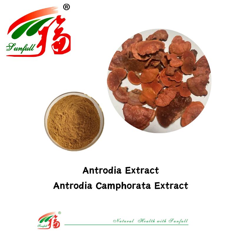 Hunan Sunfull Suplementos alimenticios Agaricus Subrufescens/Hericium Erinaceus/Antrodia/Cordyceps Sinensis/Coriolus Versicolor/Extrato de hongo en polvo