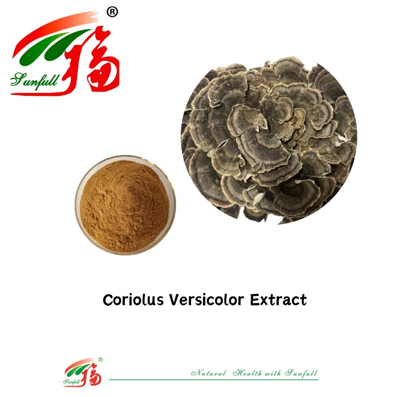 Hunan Sunfull Suplementos alimenticios Agaricus Subrufescens/Hericium Erinaceus/Antrodia/Cordyceps Sinensis/Coriolus Versicolor/Extrato de hongo en polvo