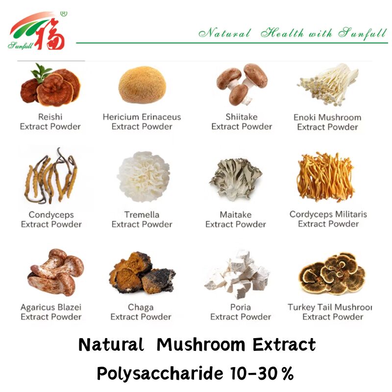 Hunan Sunfull Suplementos alimenticios Agaricus Subrufescens/Hericium Erinaceus/Antrodia/Cordyceps Sinensis/Coriolus Versicolor/Extrato de hongo en polvo