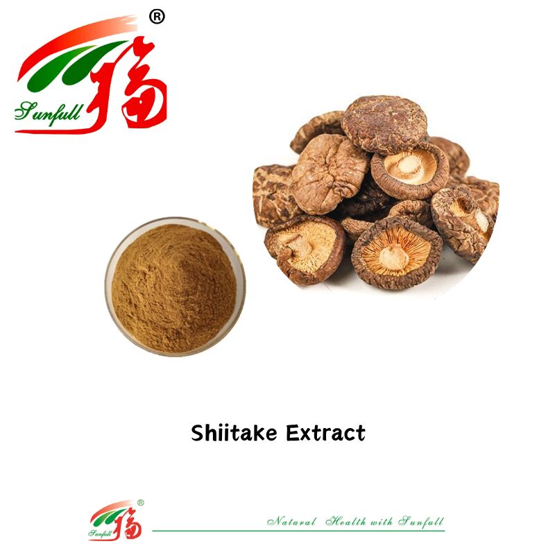 Ingrediente natural orgánico Suplementos alimenticios Polisacárido 10-30% Phellinus Igniarius /Ganoderma Lucidum/Chaga/Maitake / Shiitake Extracto de hongo en polvo