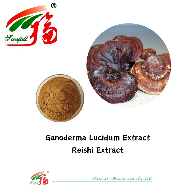 Ingrediente natural orgánico Suplementos alimenticios Polisacárido 10-30% Phellinus Igniarius /Ganoderma Lucidum/Chaga/Maitake / Shiitake Extracto de hongo en polvo