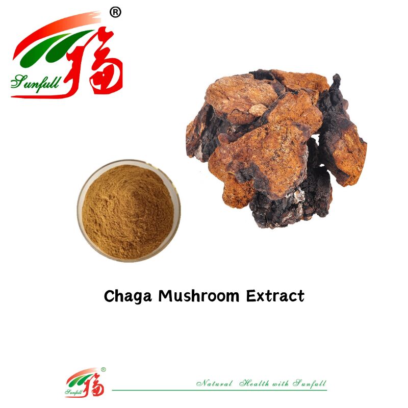 Ingrediente natural orgánico Suplementos alimenticios Polisacárido 10-30% Phellinus Igniarius /Ganoderma Lucidum/Chaga/Maitake / Shiitake Extracto de hongo en polvo