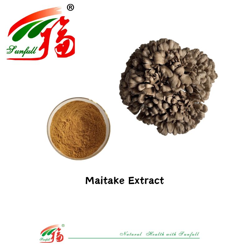 Ingrediente natural orgánico Suplementos alimenticios Polisacárido 10-30% Phellinus Igniarius /Ganoderma Lucidum/Chaga/Maitake / Shiitake Extracto de hongo en polvo