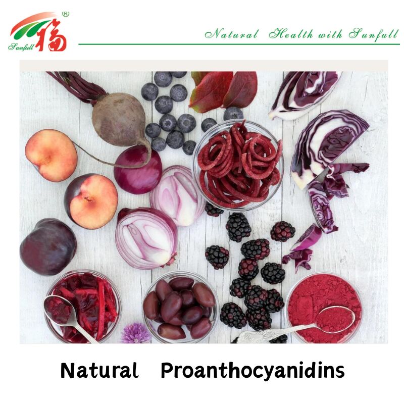 Suministro de fábrica de alta calidad 100% Antioxidantes naturales OPC Proantocianidina 95% Extracto de piel de cacahuete/corte de pino/cranberry/semilla de uva