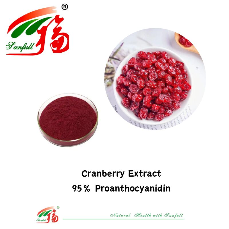 Suministro de fábrica de alta calidad 100% Antioxidantes naturales OPC Proantocianidina 95% Extracto de piel de cacahuete/corte de pino/cranberry/semilla de uva