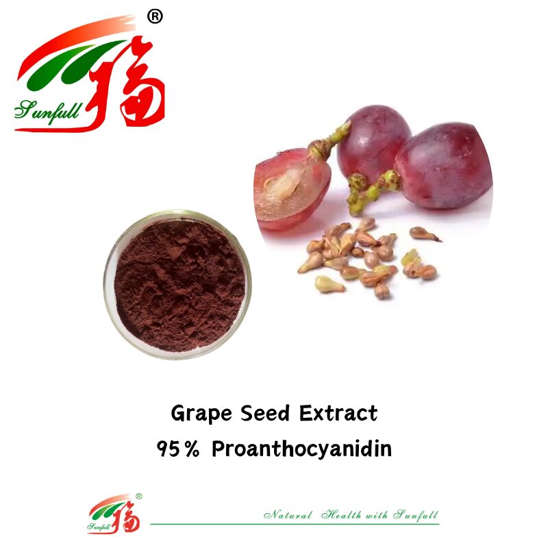 Suministro de fábrica de alta calidad 100% Antioxidantes naturales OPC Proantocianidina 95% Extracto de piel de cacahuete/corte de pino/cranberry/semilla de uva