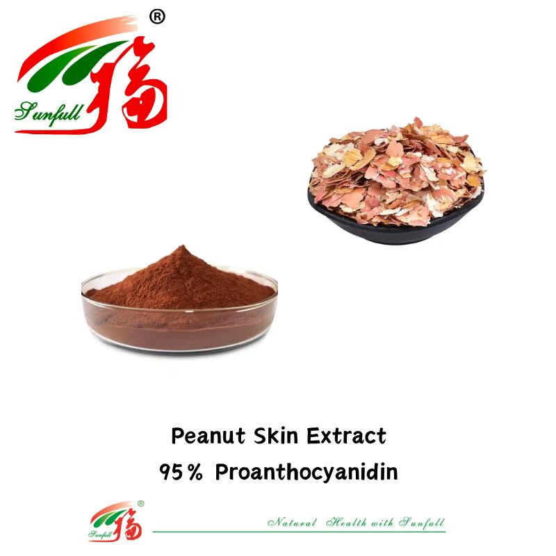 Suministro de fábrica de alta calidad 100% Antioxidantes naturales OPC Proantocianidina 95% Extracto de piel de cacahuete/corte de pino/cranberry/semilla de uva