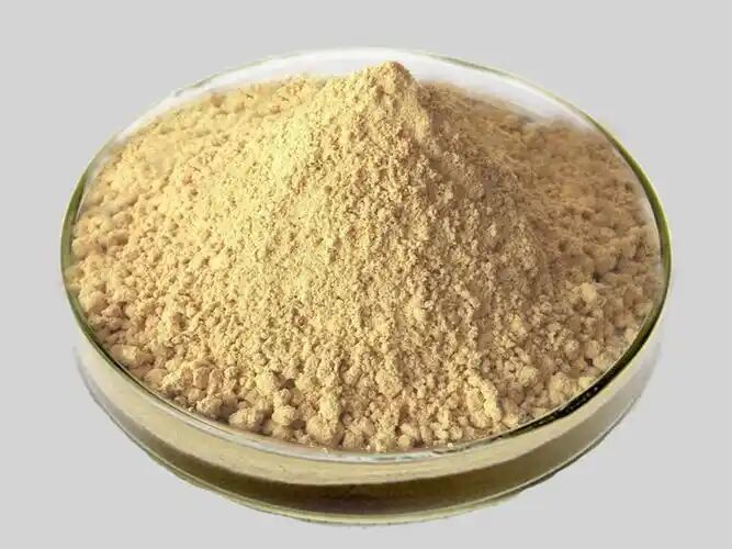 Hierbas Silybum Marianum Plantas de semillas de cardo bendito en polvo 30% Silybins HPLC UV 40% ~ 80% Liposomas 40% - 80% Silymarin Extracto de cardo lechero para la salud del hígado