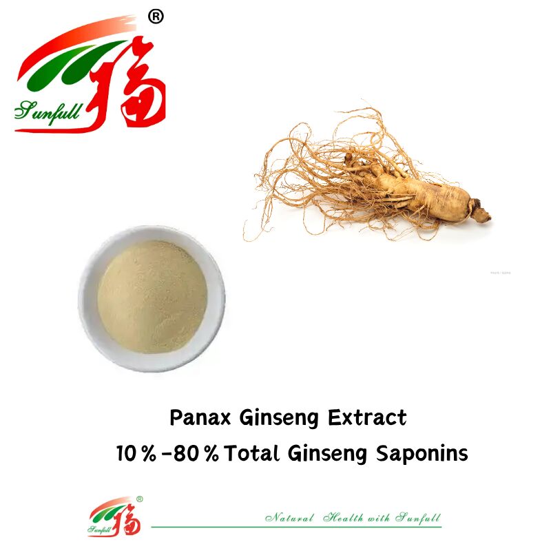 Fabricante Sunfull Muestra gratuita Medicina tradicional china HPLC orgánica 10% 80% Ginsenósidos Ginseng americano /Extracto de ginseng coreano /Extracto de Panax Ginseng
