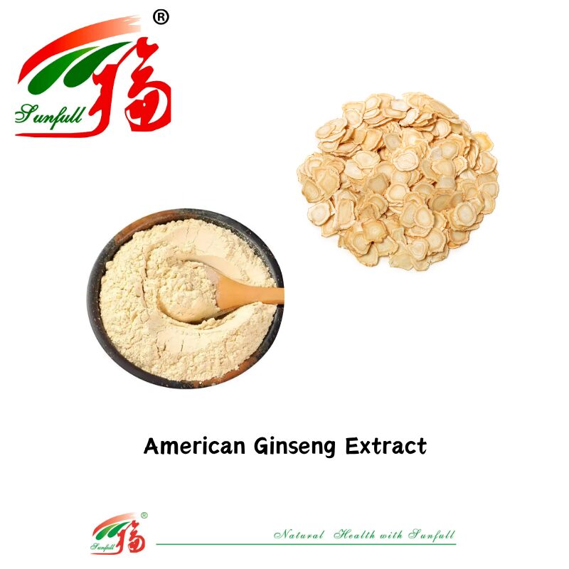 Fabricante Sunfull Muestra gratuita Medicina tradicional china HPLC orgánica 10% 80% Ginsenósidos Ginseng americano /Extracto de ginseng coreano /Extracto de Panax Ginseng