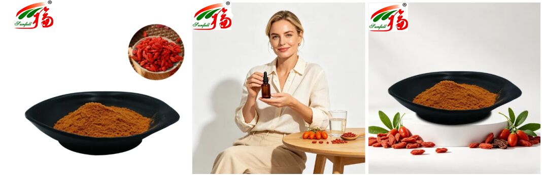 Suplementos dietéticos naturales chinos Antocianina 1-25% Polisacáridos 10%-50% Extracto de licio bárbaro Extracto de fresa de lobo / extracto de baya de goji